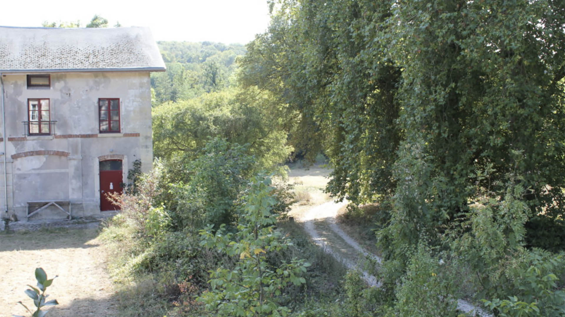 Lizieres_3